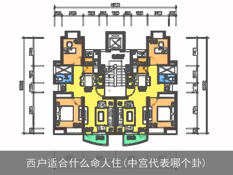 西户适合什么命人住(中宫代表哪个卦)