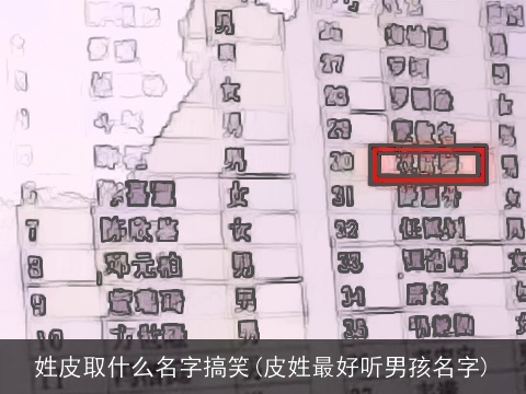 姓皮取什么名字搞笑(皮姓最好听男孩名字)