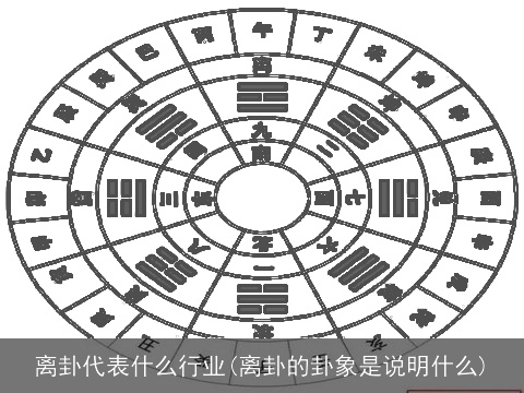 离卦代表什么行业(离卦的卦象是说明什么)