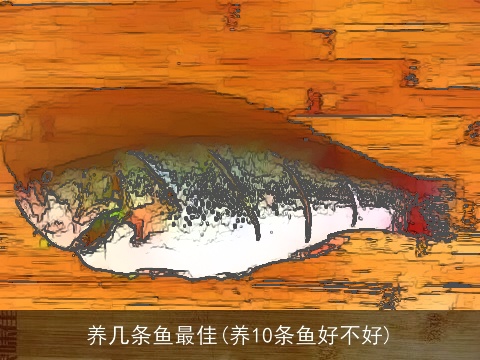 养几条鱼最佳(养10条鱼好不好)