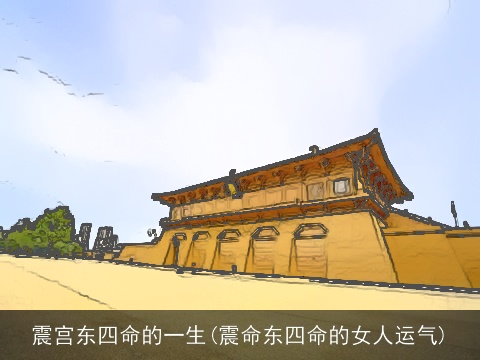 震宫东四命的一生(震命东四命的女人运气)