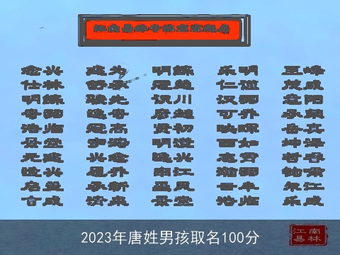 2023年唐姓男孩取名100分