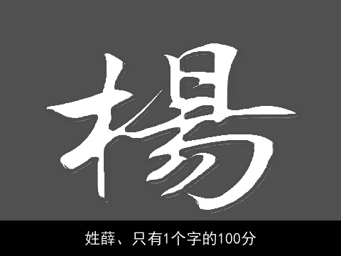 姓薛、只有1个字的100分