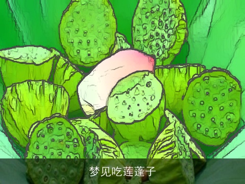 梦见吃莲蓬子