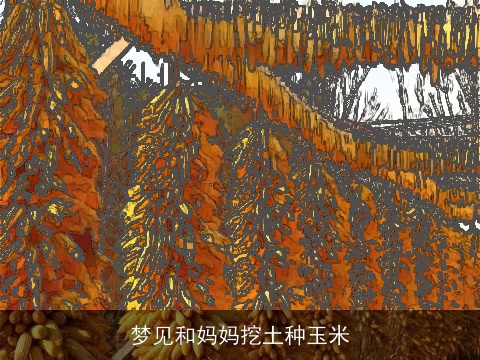 梦见和妈妈挖土种玉米