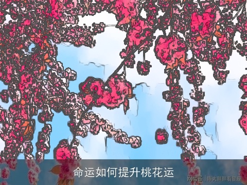命运如何提升桃花运