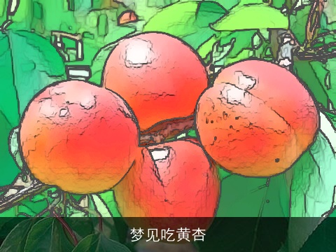 梦见吃黄杏
