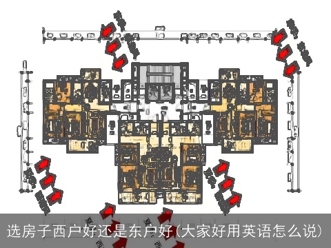 选房子西户好还是东户好(大家好用英语怎么说)