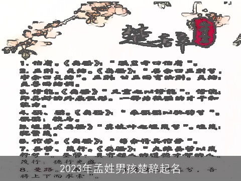 2023年孟姓男孩楚辞起名