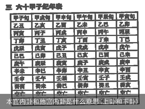本宫内卦和他宫内卦是什么意思(上卦和下卦)