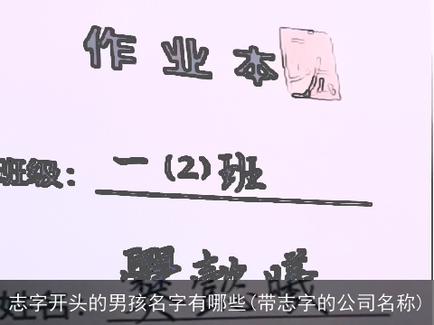志字开头的男孩名字有哪些(带志字的公司名称)