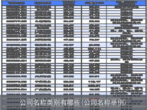 公司名称类别有哪些(公司名称举例)