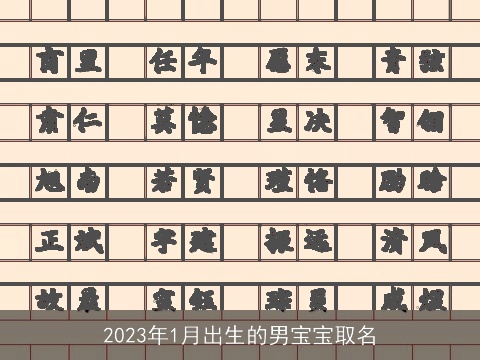 2023年1月出生的男宝宝取名