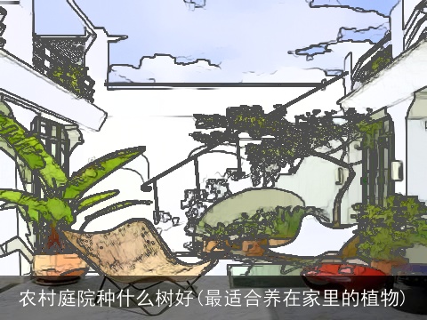 农村庭院种什么树好(最适合养在家里的植物)