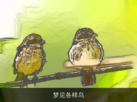 梦见各样鸟
