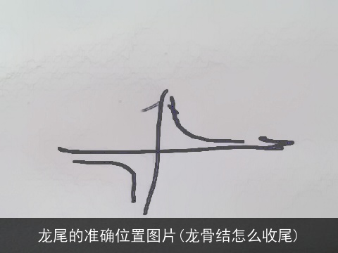 龙尾的准确位置图片(龙骨结怎么收尾)