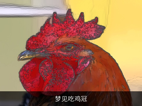 梦见吃鸡冠