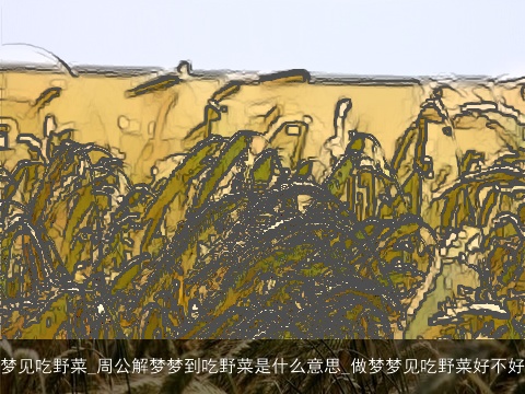 梦见吃野菜_周公解梦梦到吃野菜是什么意思_做梦梦见吃野菜好不好