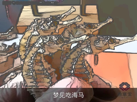 梦见吃海马