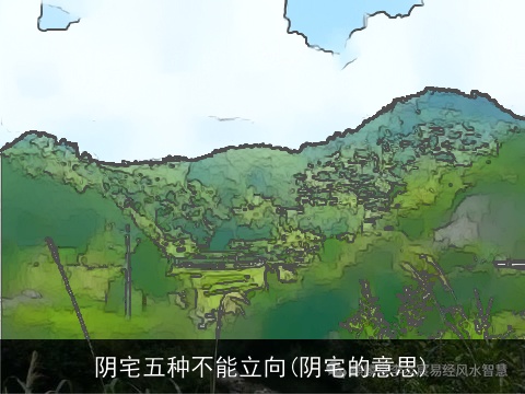 阴宅五种不能立向(阴宅的意思)