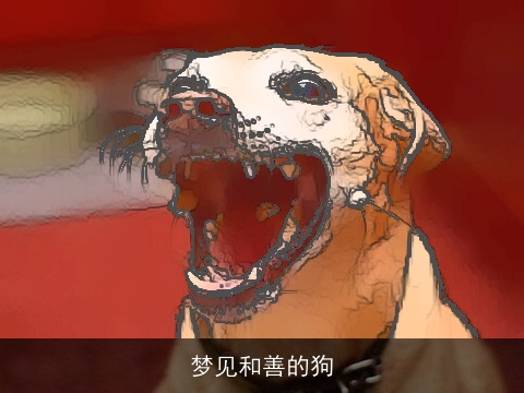 梦见和善的狗