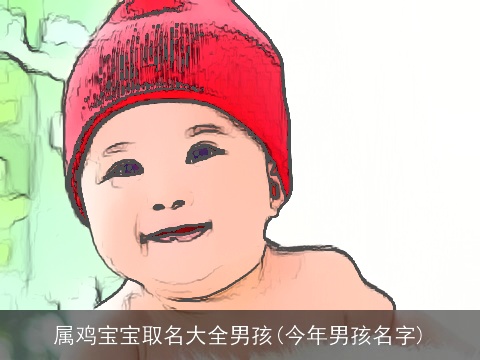 属鸡宝宝取名大全男孩(今年男孩名字)