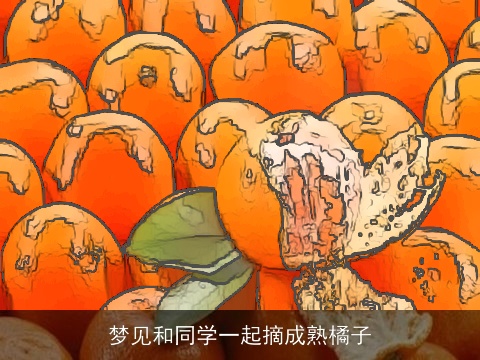 梦见和同学一起摘成熟橘子