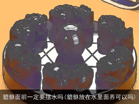 貔貅面前一定要摆水吗(貔貅放在水里面养可以吗)