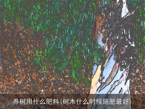 养树用什么肥料(树木什么时候施肥最好)