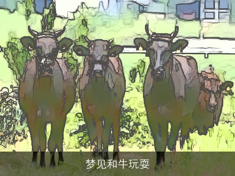 梦见和牛玩耍