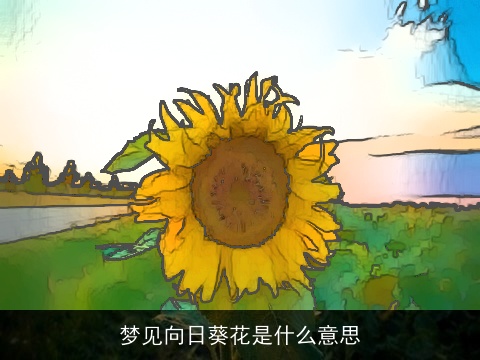 梦见向日葵花是什么意思