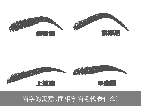 眉字的寓意(面相学眉毛代表什么)