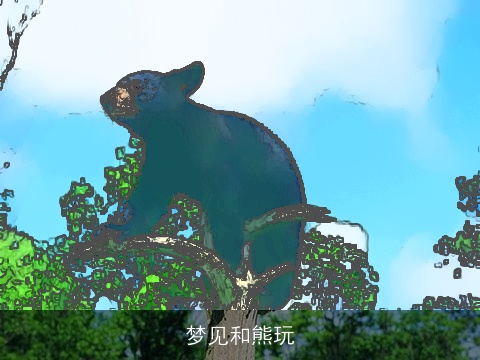 梦见和熊玩