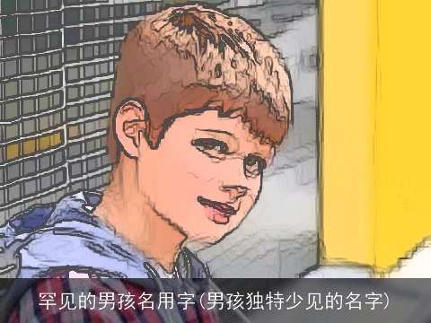 罕见的男孩名用字(男孩独特少见的名字)