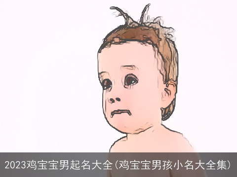 2023鸡宝宝男起名大全(鸡宝宝男孩小名大全集)