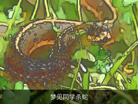 梦见同学杀蛇