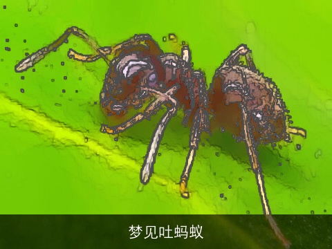 梦见吐蚂蚁