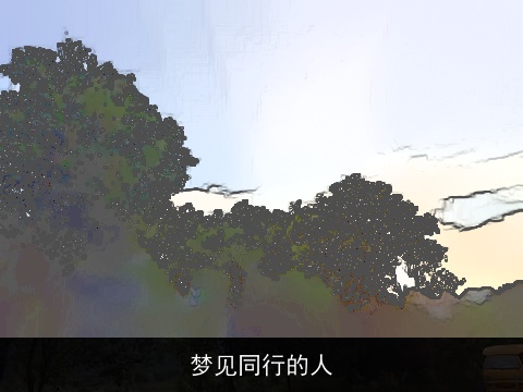 梦见同行的人