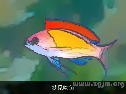 梦见吻鱼