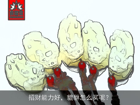 招财能力好，貔貅怎么买呢？