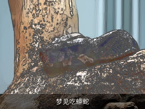 梦见吃蟒蛇