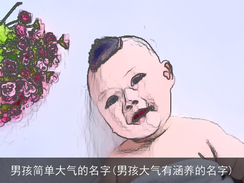男孩简单大气的名字(男孩大气有涵养的名字)