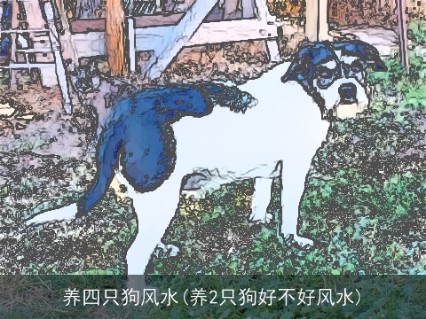 养四只狗风水(养2只狗好不好风水)