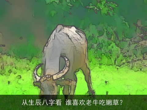 从生辰八字看 谁喜欢老牛吃嫩草？
