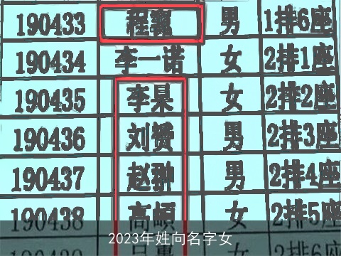 2023年姓向名字女