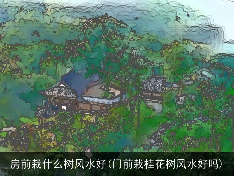 房前栽什么树风水好(门前栽桂花树风水好吗)