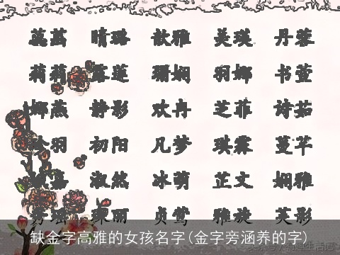 缺金字高雅的女孩名字(金字旁涵养的字)