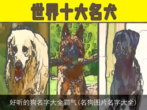 好听的狗名字大全霸气(名狗图片名字大全)