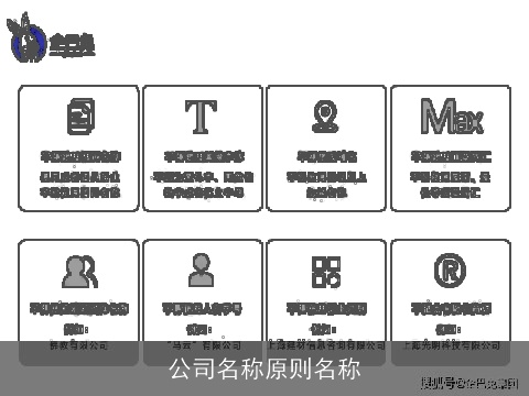 公司名称原则名称