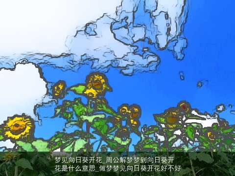 梦见向日葵开花_周公解梦梦到向日葵开花是什么意思_做梦梦见向日葵开花好不好
